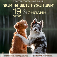 Фотовыставка и благотворительная акция «Всем на свете нужен дом».