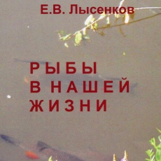 Рыбы в нашей жизни. Е.В. Лысенков