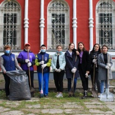 Полезная программа волонтеров культуры