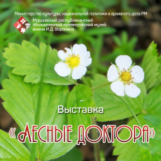 Фотовыставка «Лесные доктора»