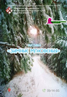 Выставка «Зимние мгновения»