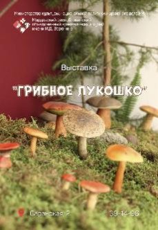 Выставка «Грибное лукошко»