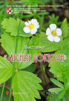 Фотовыставка «Лесные доктора»