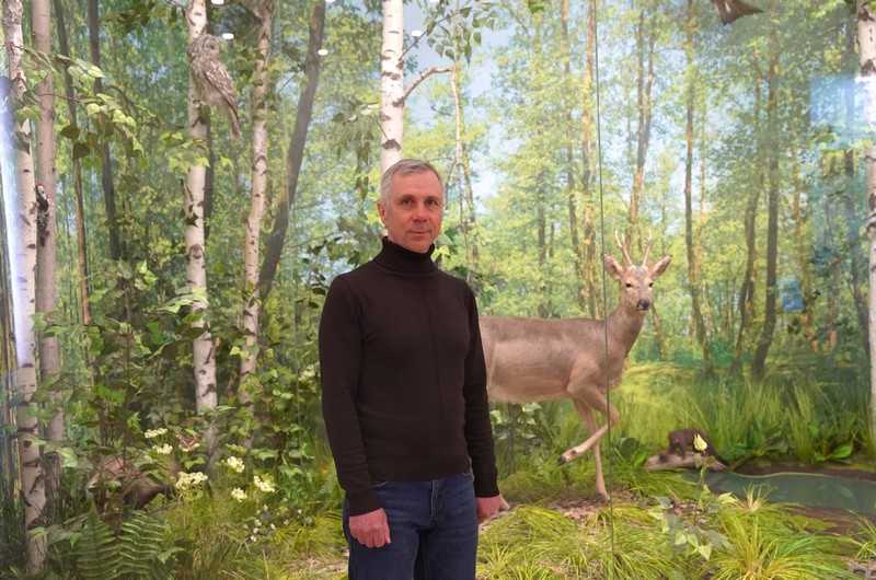 Таксидермист: путь в профессию