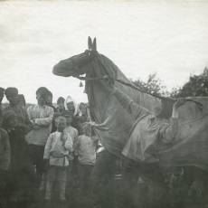 ТРОИЦА