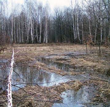 Фотовыставка «И это время называется весна»