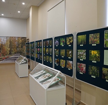 Фотовыставка «Лесные доктора»
