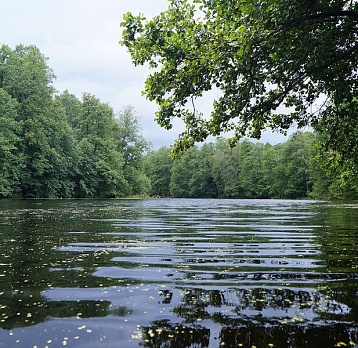 На службе у природы