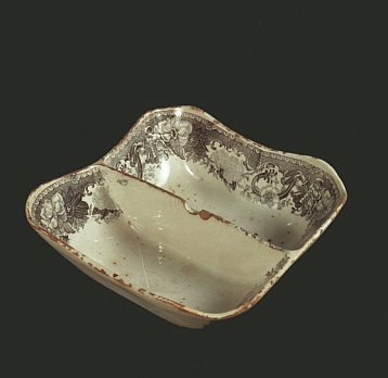 Заводы Енгалычевых в Темниковском уезде