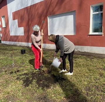 Акция «Чистый город» 