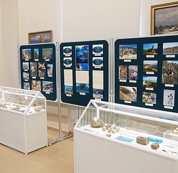 Выставка "Загадки мезозойских морей Поволжья"