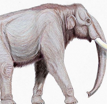 Древнейшие слоны Мордовии